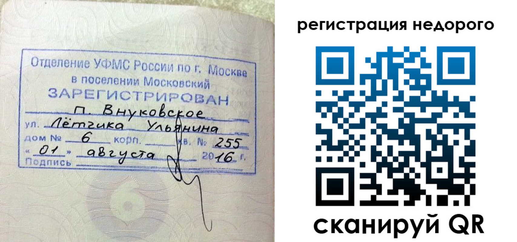 прописка в квартире в Оленегорске